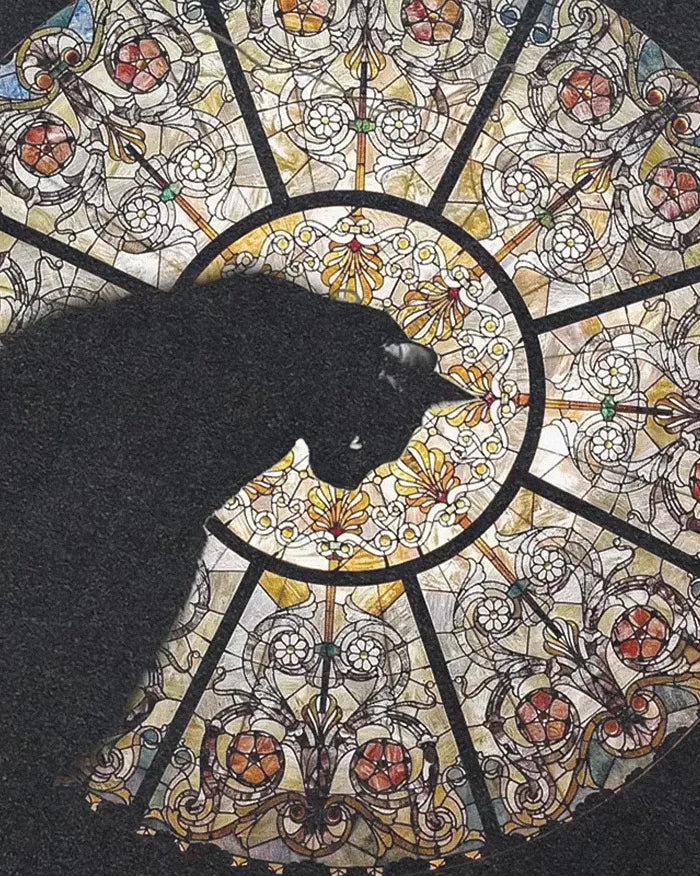 Tee Streetwear ’Black cat’