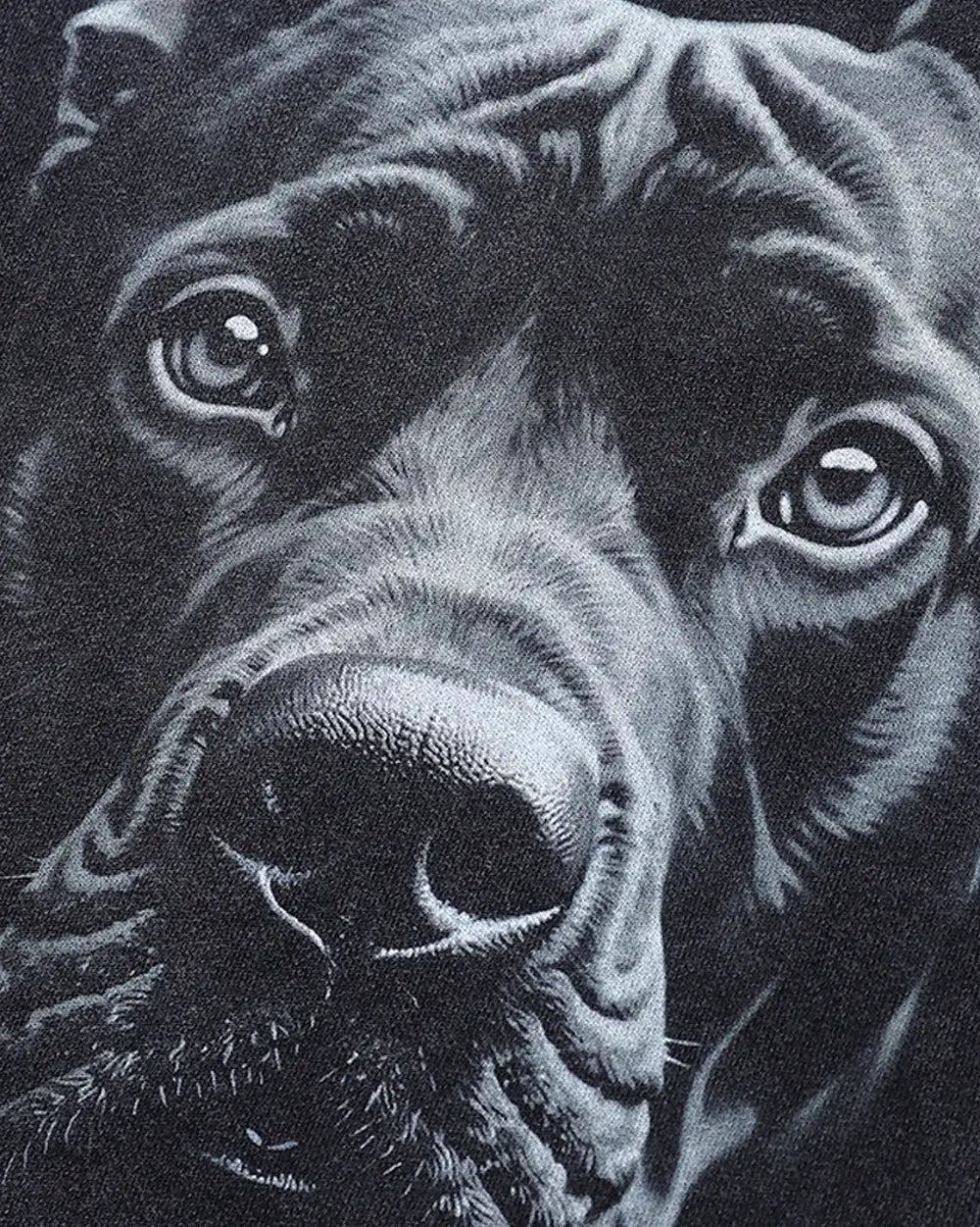 Oversized graphic hoodie ’Watchdog’
